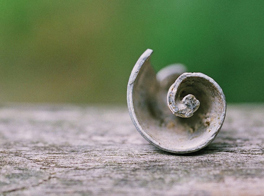 Schneckenspirale_Foto_DörteSüberkrüb Schneckenspirale
